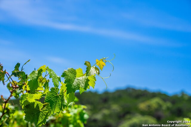 Image 47 of 60 For 5081 Texas 173