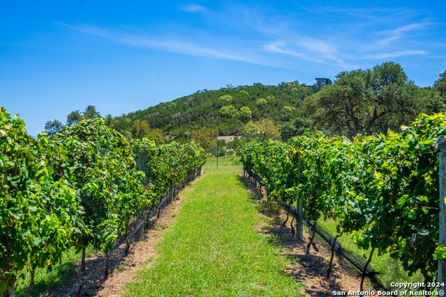 Image 48 of 60 For 5081 Texas 173