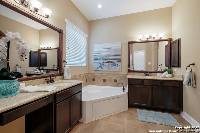 Image 18 of 43 For 12410 Alstroemeria