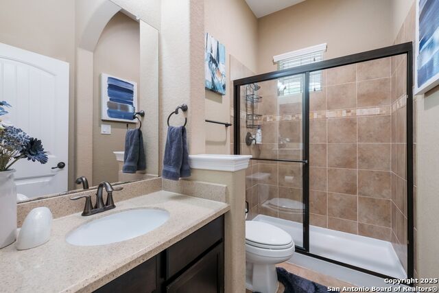 Image 21 of 43 For 12410 Alstroemeria