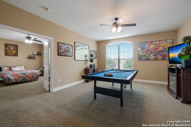 Image 22 of 43 For 12410 Alstroemeria