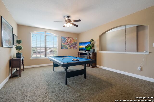 Image 23 of 43 For 12410 Alstroemeria