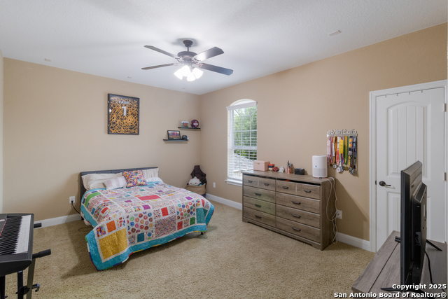 Image 26 of 43 For 12410 Alstroemeria