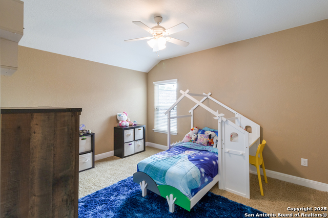 Image 27 of 43 For 12410 Alstroemeria