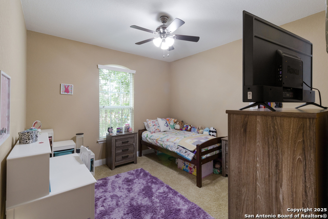 Image 29 of 43 For 12410 Alstroemeria