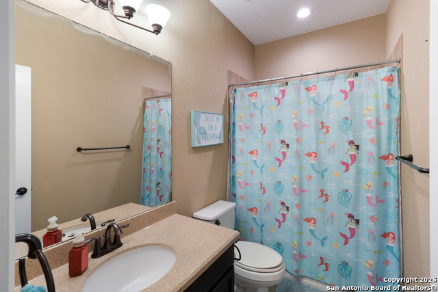 Image 30 of 43 For 12410 Alstroemeria