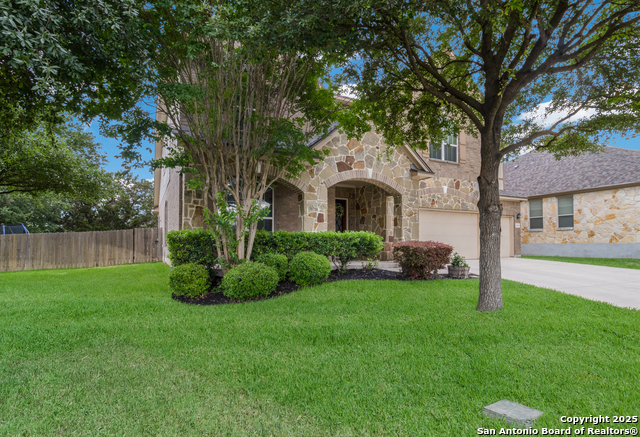 Image 33 of 43 For 12410 Alstroemeria