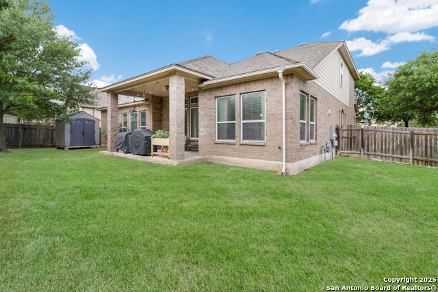 Image 35 of 43 For 12410 Alstroemeria