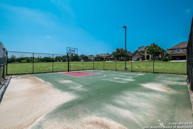 Image 37 of 43 For 12410 Alstroemeria