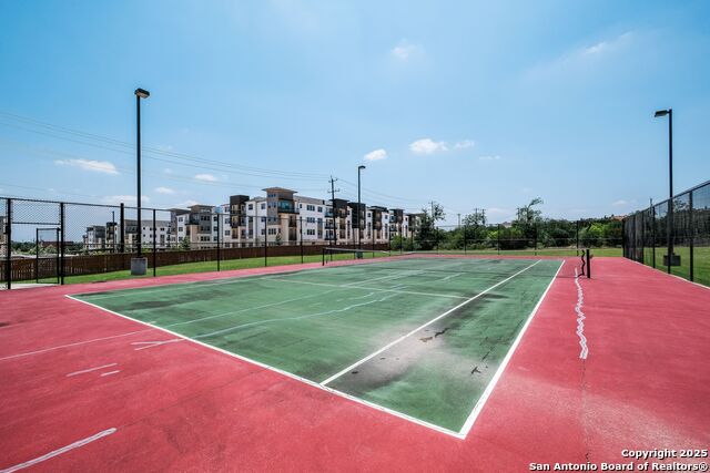 Image 38 of 43 For 12410 Alstroemeria