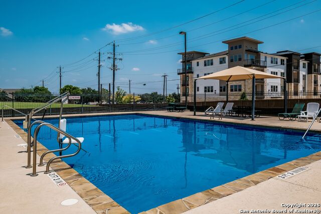 Image 42 of 43 For 12410 Alstroemeria