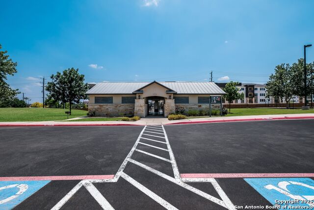 Image 43 of 43 For 12410 Alstroemeria