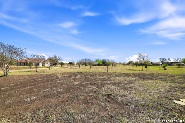 Listing photo id 1 for 11421 Ware Seguin