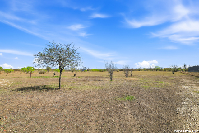 Listing photo id 37 for 11421 Ware Seguin