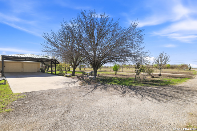 Listing photo id 3 for 11421 Ware Seguin