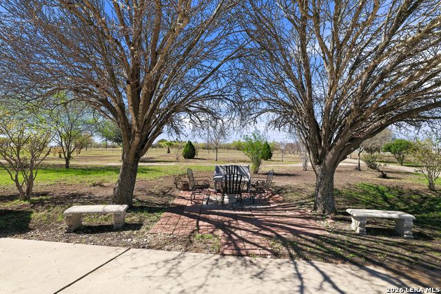 Listing photo id 6 for 11421 Ware Seguin