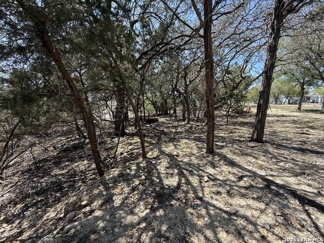 Image 4 of 6 For 1123 Alta Vista