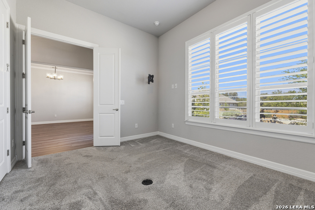 Image 10 of 50 For 2206 Black Dog