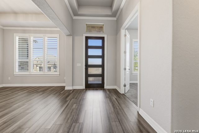 Image 11 of 50 For 2206 Black Dog