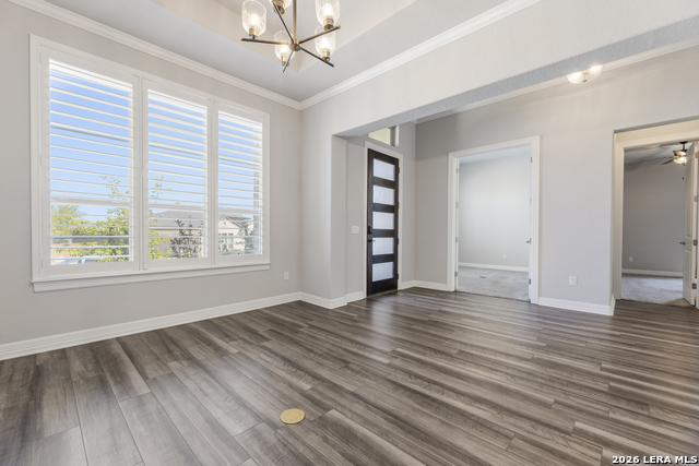 Image 12 of 50 For 2206 Black Dog