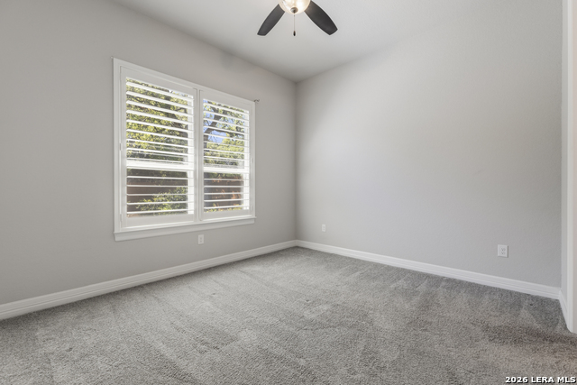 Image 15 of 50 For 2206 Black Dog