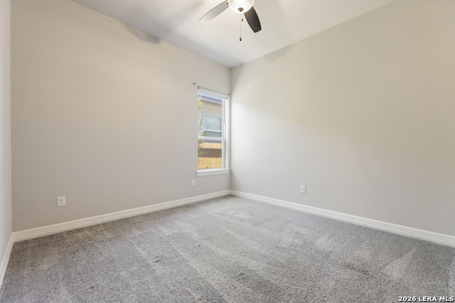 Image 17 of 50 For 2206 Black Dog