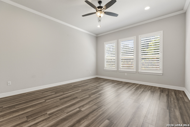 Image 19 of 50 For 2206 Black Dog