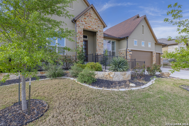 Image 2 of 50 For 2206 Black Dog