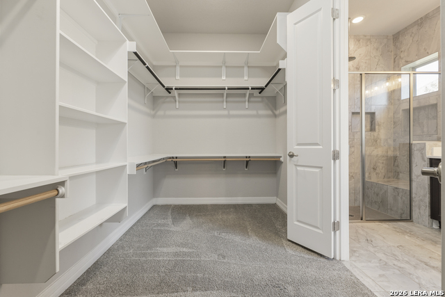 Image 25 of 50 For 2206 Black Dog