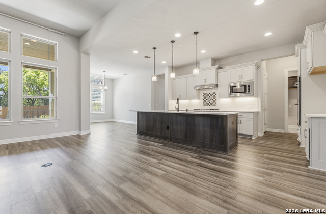 Image 30 of 50 For 2206 Black Dog