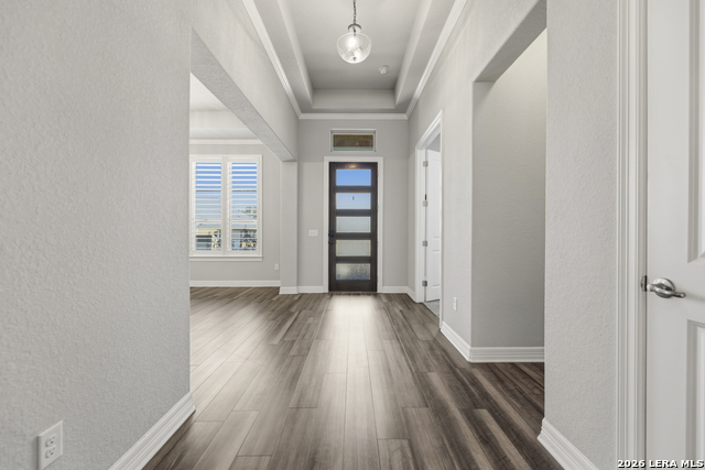 Image 39 of 50 For 2206 Black Dog