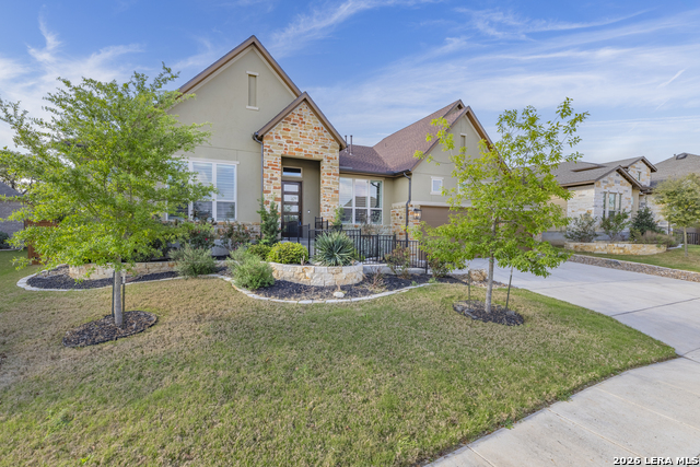 Image 4 of 50 For 2206 Black Dog