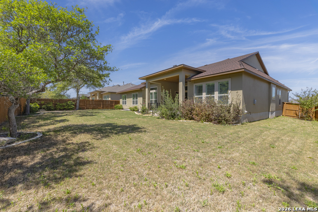 Image 42 of 50 For 2206 Black Dog