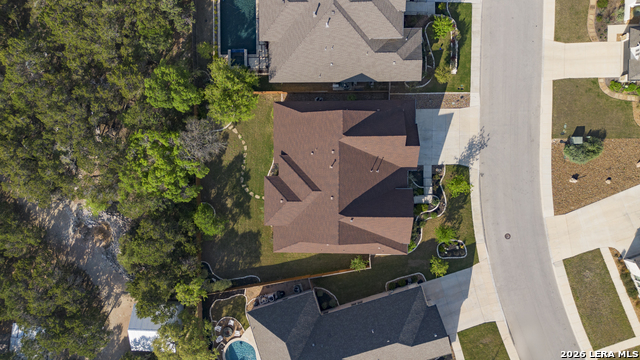 Image 47 of 50 For 2206 Black Dog