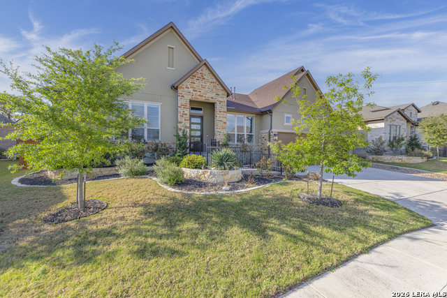 Image 5 of 50 For 2206 Black Dog