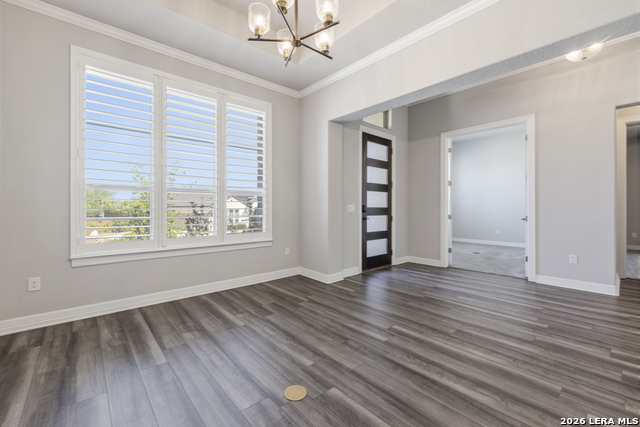 Image 6 of 50 For 2206 Black Dog