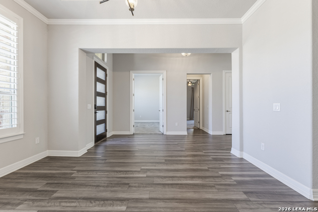 Image 9 of 50 For 2206 Black Dog