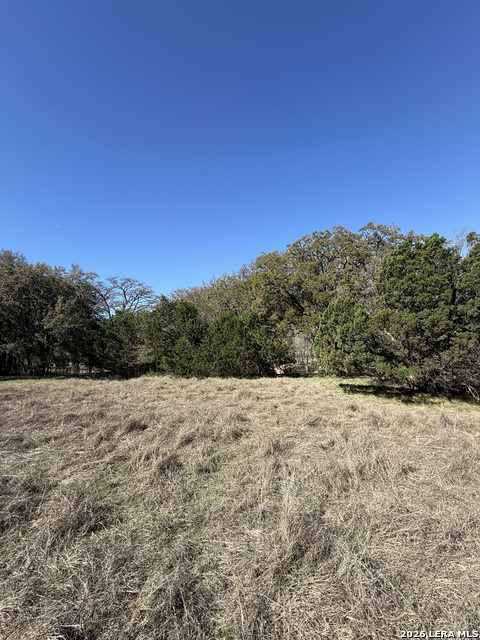 Image 2 of 10 For 0 White Bluff Rd