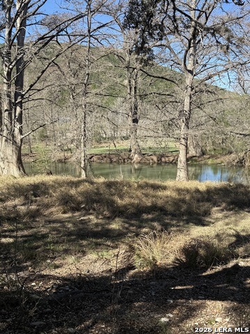 Image 3 of 10 For 0 White Bluff Rd