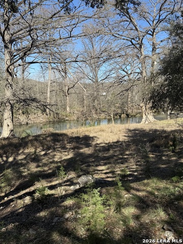 Image 4 of 10 For 0 White Bluff Rd