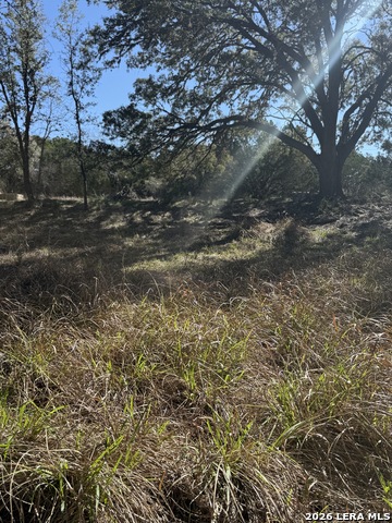 Image 8 of 10 For 0 White Bluff Rd