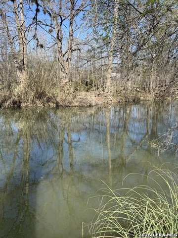 Image 9 of 10 For 0 White Bluff Rd