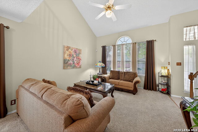 Image 20 of 43 For 7431 Rocky Cedar