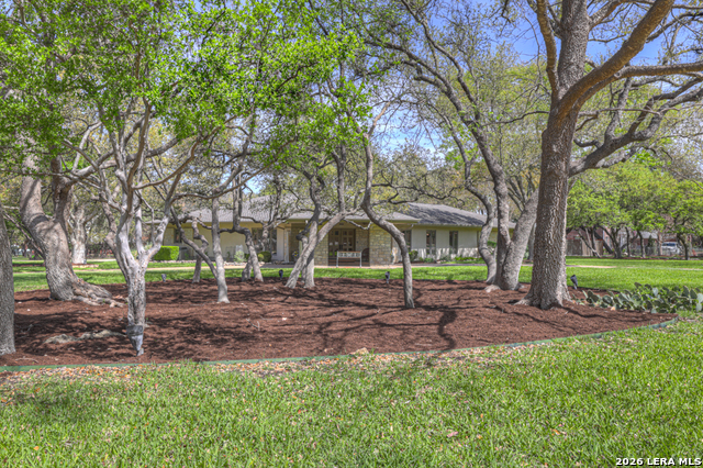 Image 2 of 46 For 8 Trophy  