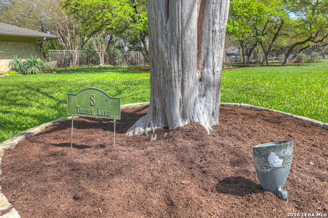 Image 4 of 46 For 8 Trophy  