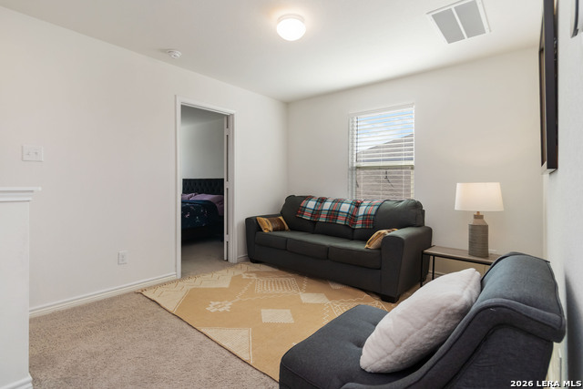 Image 15 of 29 For 11538 Hocus Pocus