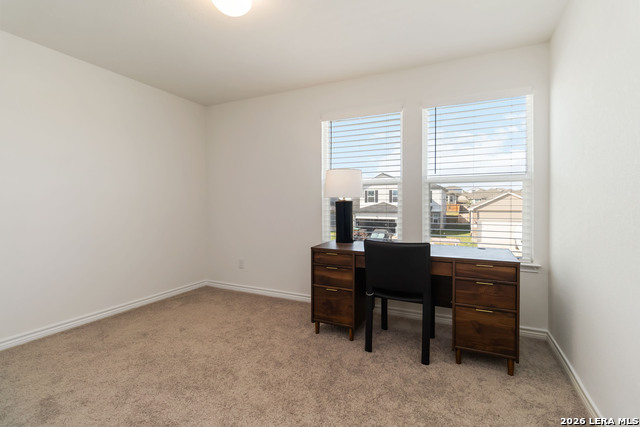 Image 20 of 29 For 11538 Hocus Pocus