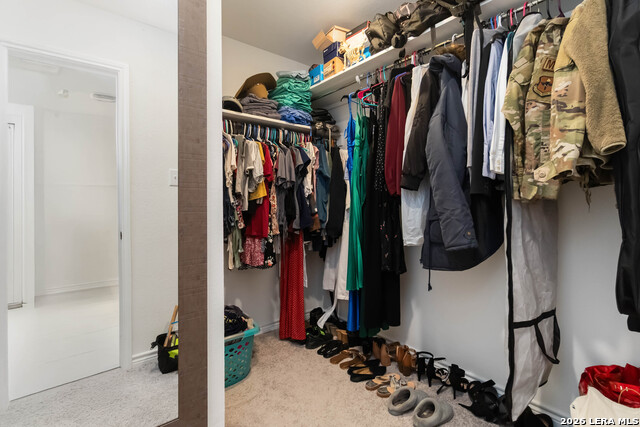 Image 25 of 29 For 11538 Hocus Pocus