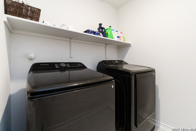 Image 26 of 29 For 11538 Hocus Pocus