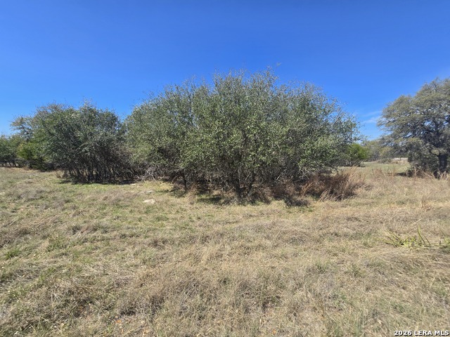 Image 5 of 19 For 237 Roy Nichols